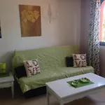 Apartment Oasis Royal