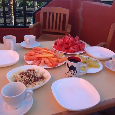 Oasis Royal Appartement